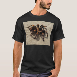 Camiseta Envenenamento tarantula brachypelma vermelho-joelh