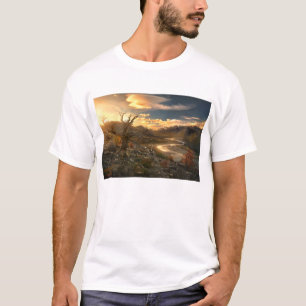 Camiseta Enxerto do selvagem