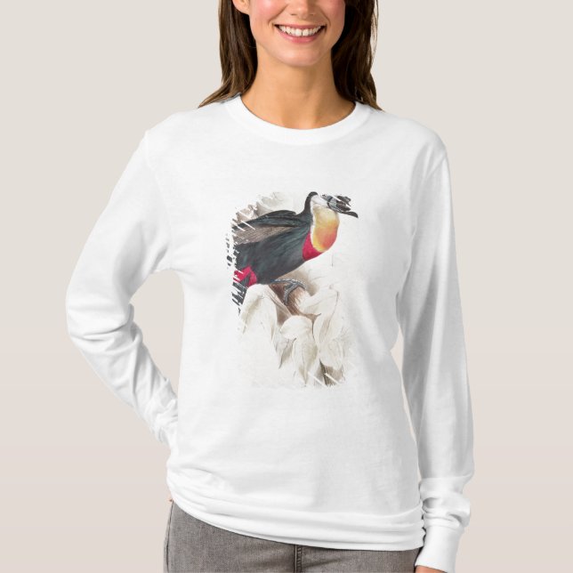 Camiseta Enxofre e Toucan breasted branco, século XIX (Frente)