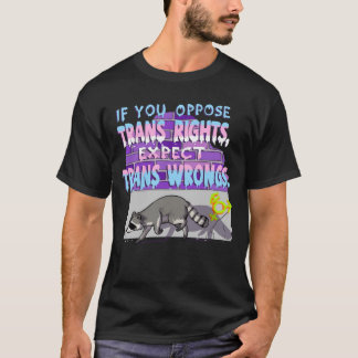 Camiseta Epect trans erros guaxinim menino