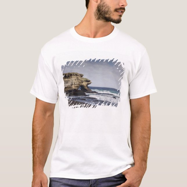 Camiseta Equador, Galápagos, Santiago (também conhecido por (Frente)