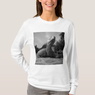 Camiseta Equador, Parque Nacional Ilhas Galápagos, Santa