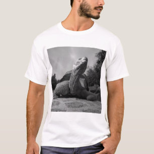 Camiseta Equador, Parque Nacional Ilhas Galápagos, Santa
