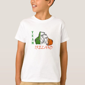 Camiseta Equipe Ireland