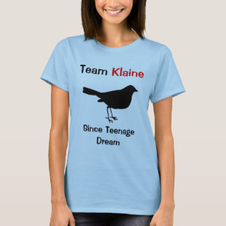 Camiseta Equipe Klaine