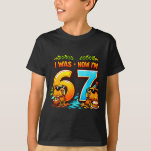 Camiseta Era 6 7 aniversário 67 meme capivara crianças meni