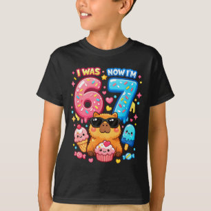 Camiseta Era 6 7 aniversário 67 meme capivara sorvete kawai