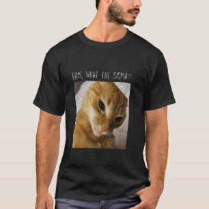Camiseta Erm, O que é o meme engraçado do gato Sigma