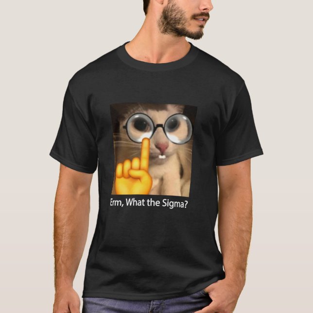 Camiseta Erm Que Sigma Cat Meme Engraçado Sarcástico (Frente)