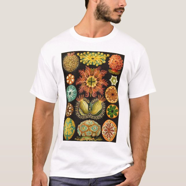 Camiseta Ernst Haeckel - Ascidiae (Frente)