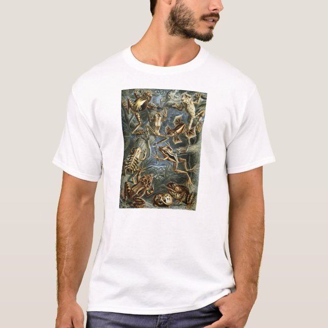 Camiseta Ernst Haeckel - Batrachia (Frente)
