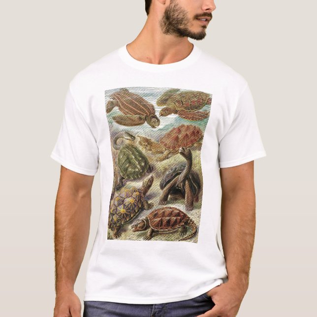 Camiseta Ernst Haeckel - Chelonia (Frente)