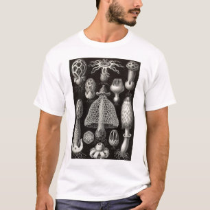 Camiseta Ernst Haeckel - cogumelos de Basimycetes
