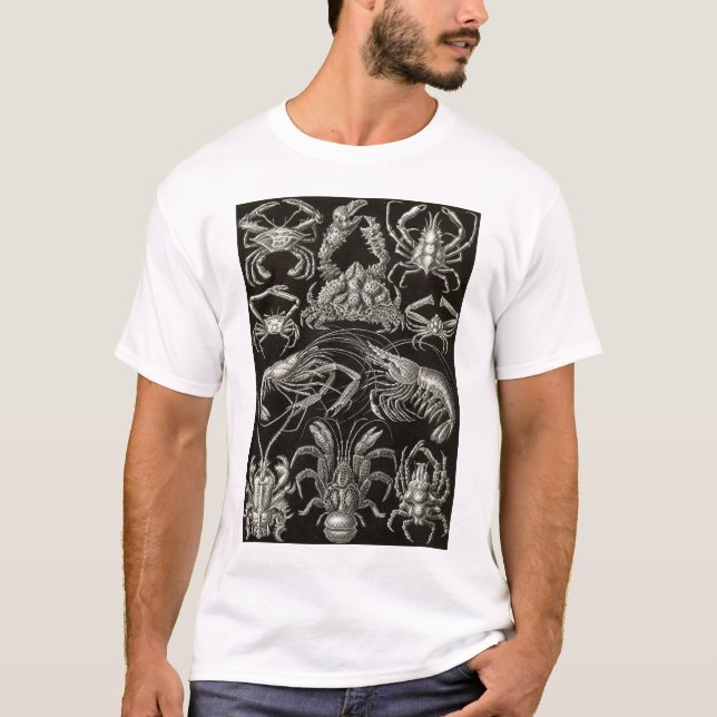 Camiseta Ernst Haeckel - Decapoda (Frente)