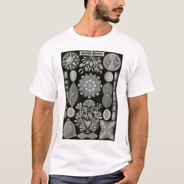 Camiseta Ernst Haeckel - Diatomea2 (Frente)