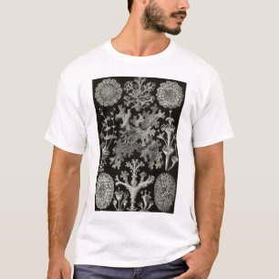 Camiseta Ernst Haeckel - Lichenes