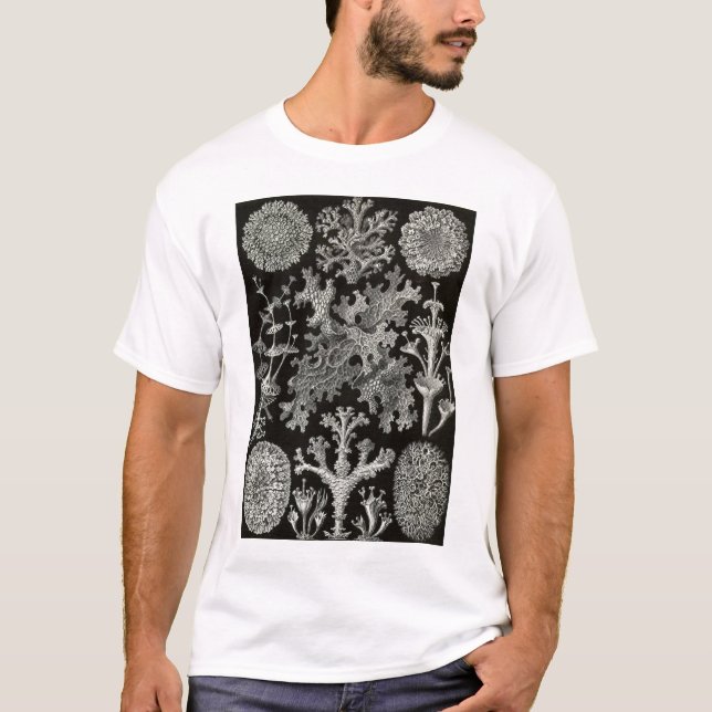 Camiseta Ernst Haeckel - Lichenes (Frente)
