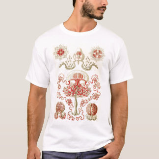 Camiseta Ernst Haeckel - medusa de Anthomedusae