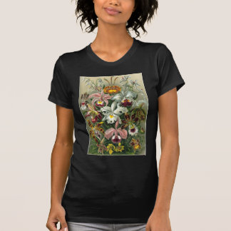 Camiseta Ernst Haeckel - Orchidae