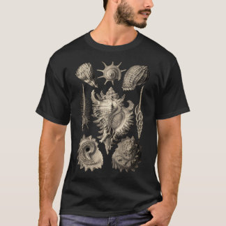 Camiseta Ernst Haeckel Prosobranchia Sea Shelds