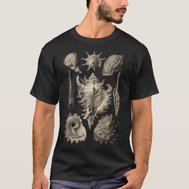 Camiseta Ernst Haeckel Prosobranchia Sea Shelds (Frente)