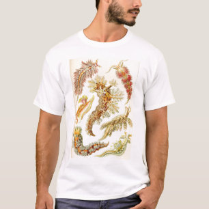 Camiseta Ernst Haeckel - Tshirt do Nudibranchia
