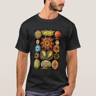 Camiseta Ernst Haeckel Vintage Ilustração Biológica Asci