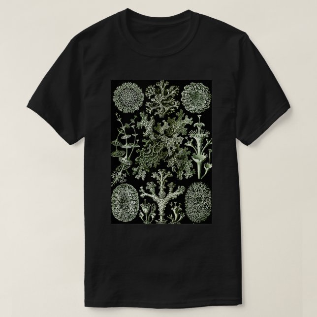 Camiseta Ernst Haeckel Vintage Ilustração Biológica Lich (Frente do Design)
