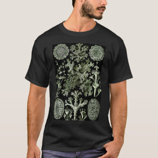 Camiseta Ernst Haeckel Vintage Ilustração Biológica Lich