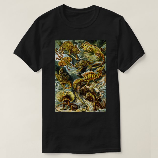 Camiseta Ernst Haeckel Vintage Ilustração Biológica Liza (Frente do Design)