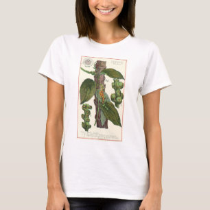 Camiseta Ervas e especiarias alimentares vintage, planta de