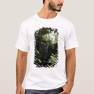 Camiseta Escadaria/passeio rústicos na floresta, luz solar