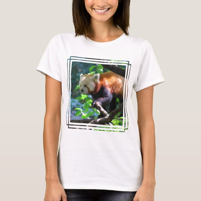 Camiseta Escalada da panda vermelha (Frente)
