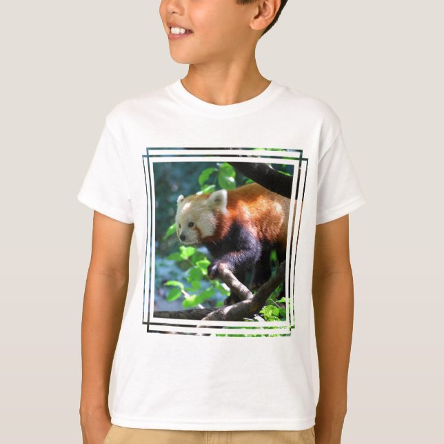 Camiseta Escalada da panda vermelha (Frente)