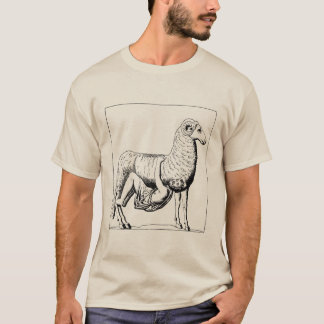 Camiseta Escapes de Odysseus