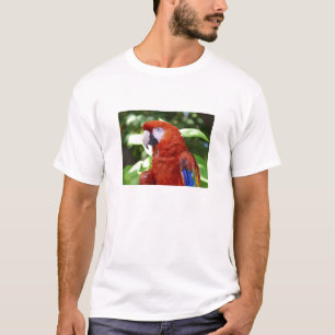 Camiseta Escarlate do Macaw