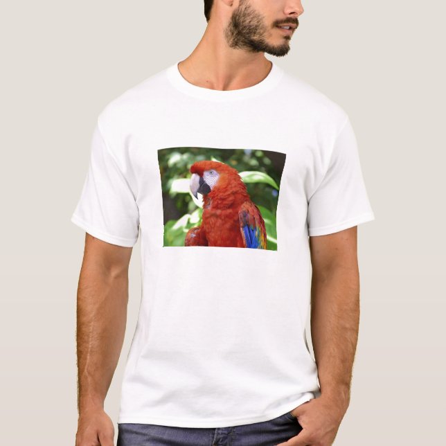 Camiseta Escarlate do Macaw (Frente)