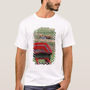 Camiseta Escócia, Ilha de Skye, Kilmuir. Animais de fazenda