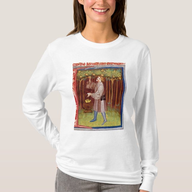 Camiseta Escolhendo a fruta (Frente)