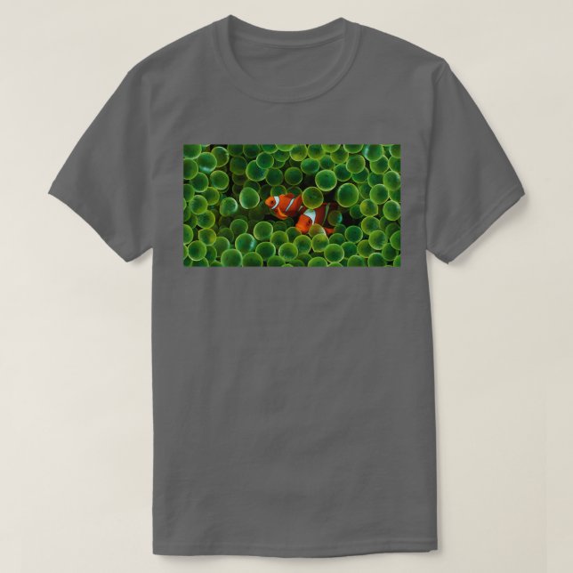Camiseta esconder dois peixes palhaços (Frente do Design)