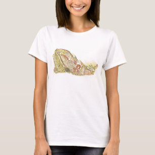 Camiseta Espanha de Alhambra Granada. Vista aérea