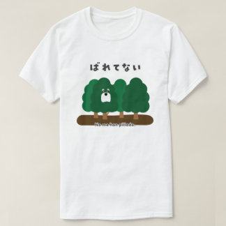 Camiseta Espanhol - Não sou eu além de pillado.