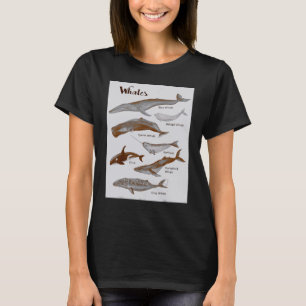 Camiseta Espécies de baleias Mamíferos do mar de baleia Mam