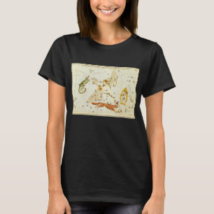 Camiseta Espelho de Urânia, Mapa Celeste de Astronomia Anti
