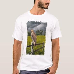 Camiseta Esperando pela Tempestade - Falcão da cauda vermel