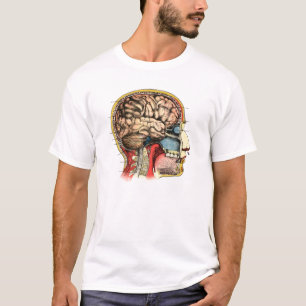 Camiseta Espinha cervical do crânio do cérebro humano