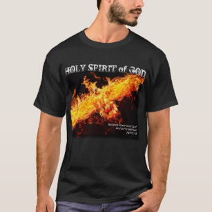 Camiseta Espírito Santo