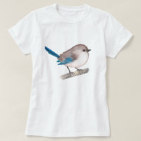 Esplêndida Fairy Wren Bird em Branch