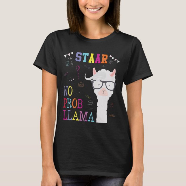 Camiseta Esquadrão de Testes Sem Prob-llama Llama Professor (Frente)