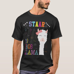 Camiseta Esquadrão de Testes Sem Prob-llama Llama Professor